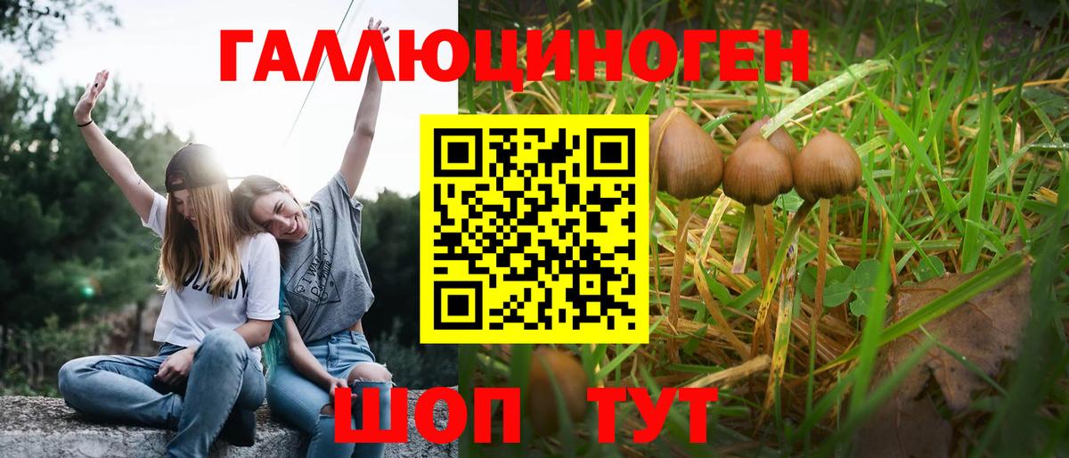 наркотики  Вход с VPN  Черкесск  Галлюциногенные грибы Magic Shrooms 