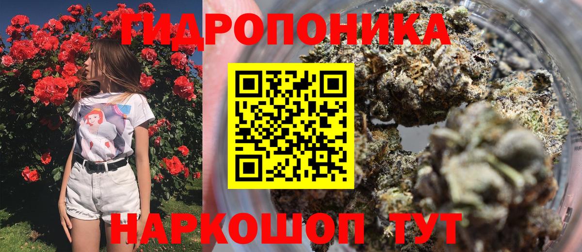 Канабис VHQ  Бошки марихуана индика  Черкесск  Каннабис индика  Каннабис план  Вход с VPN 
